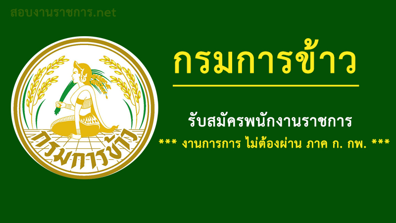 งานราชการ ไม่ต้องผ่านภาค ก. ของ กพ. กรมการข้าว เปิดสอบงานราชการ พนักงานราชการ
