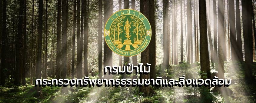 Royal Forest Department